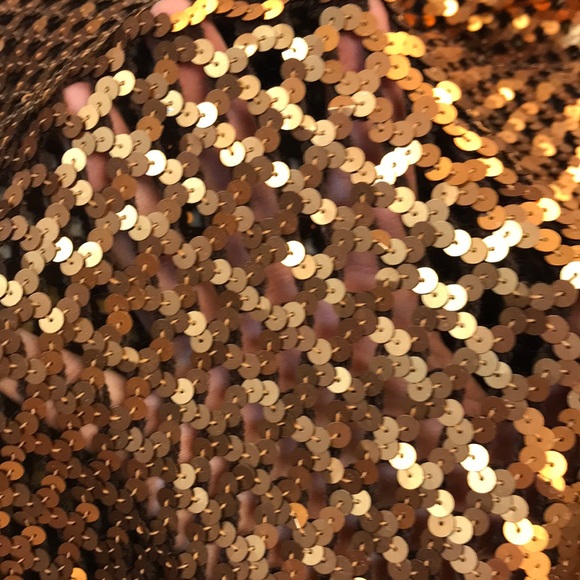 Bronze Sequined Mesh Top - Picture 2 of 6